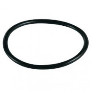 JOINT TORIQUE POMPE SANITAIRE 3,5°53