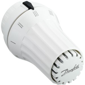 ELEM.THERM. RAE 5054 SONDE INCORPOREE (CLICK)