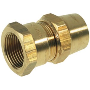 RACCORD BICOGAZ DROIT 1/2FX15