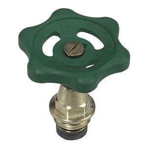 TETE BRUT 1/2 POUR ARRET EAU